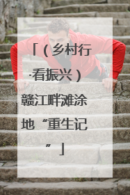 （乡村行·看振兴）赣江畔滩涂地“重生记”